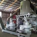 制粒工段|待制粒仓+木屑颗粒机+出料输送机