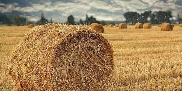 秸秆再利用转化为生物质燃料