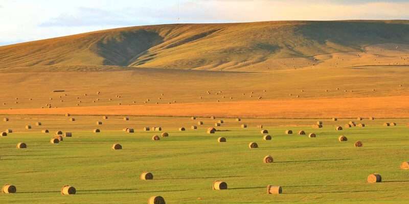 1648003993-af182cf8aab804d557fe17dec752e371