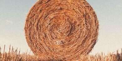 生物质秸秆 秸秆造粒